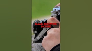 Transform Old B&W Photos: Quick Start Guide to Colorization with colorizethis.io.