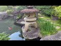 Awesome clear water! Koi fish are swimming in Japanese garden pond. Mp3 Song