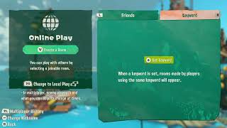 How to play with friends online in Splatoon Raiders | Online co op