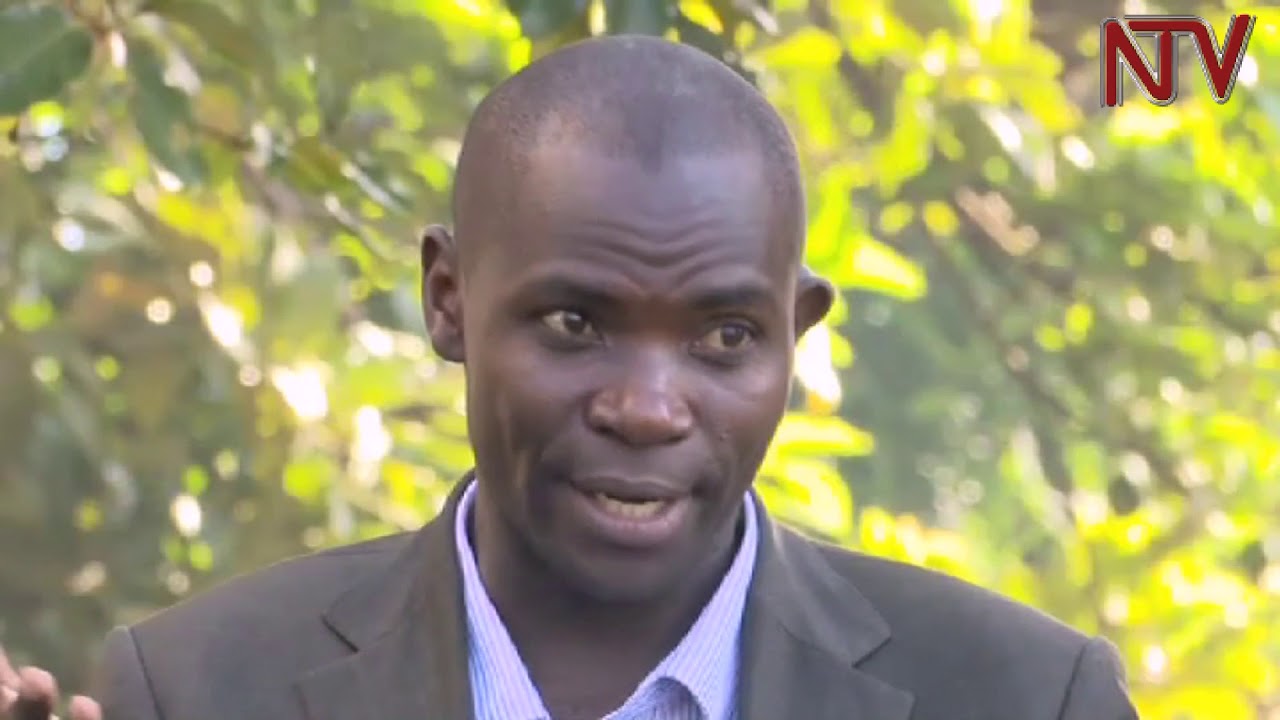 Wuuno munnamateeka, Hassan Male Mabirizi, ateerya ntama