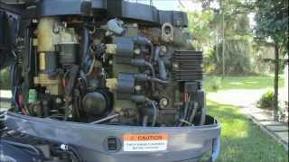 Yamaha F50 TLR Outboard Engine Maintenance Update 2024