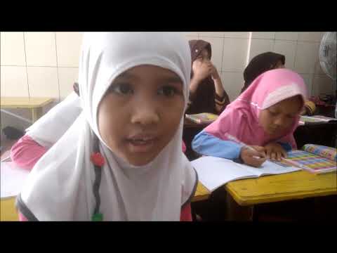 kambing-goat-kucing-cat