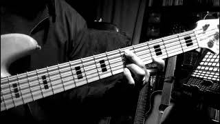 Minimal Post Rock Delay & Ambient Reverb - 6 String Bass News