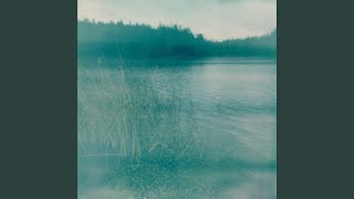 I Will Stay (feat. LauraAlison)