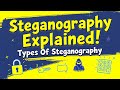 "Steganography Explained in 10 Minutes | Types, Examples & Notes | Cryptography & Network Security"