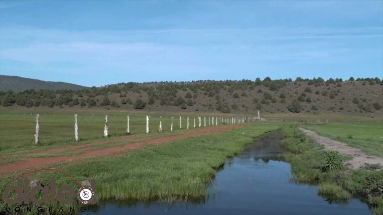 534yd Rock Chuck - Long Range Shooting