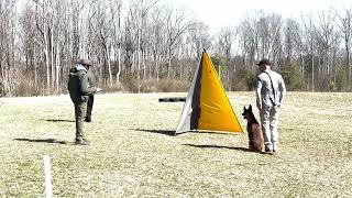 Going over my IGP 1 Protection