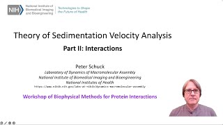 Theory of Sedimentation Velocity Analysis Part II: Interactions
