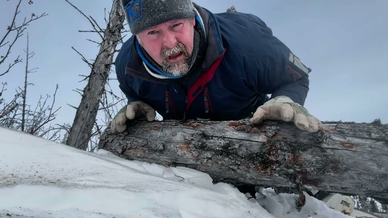 Dry Tamarack Firewood & Ptarmigan Hunting