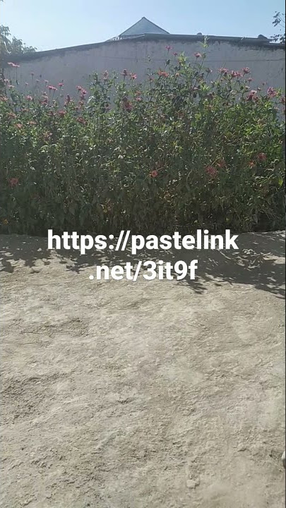 https://pastelink.net/3it9f