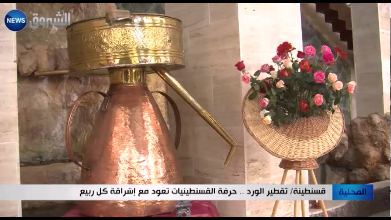 قسنطينة: تقطير الورد.. حرفة القسنطينيات تعود مع إشراقة كل ربيع