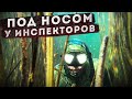 НЫРЯЕМ В ЗАПОВЕДНИКЕ! ОЗЕРО ИТКОЛЬ, ХАКАСИЯ!