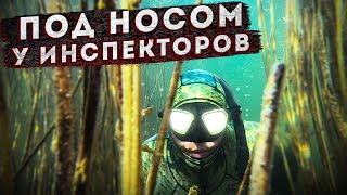 НЫРЯЕМ В ЗАПОВЕДНИКЕ! ОЗЕРО ИТКОЛЬ, ХАКАСИЯ!