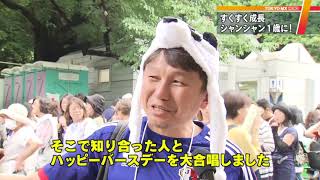シャンシャン1歳の誕生日…上野の街もお祝い　東京・上野動物園