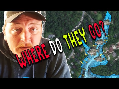 Where Do Crappie Go After The Spawn: boat sponge set with bucket video thumbnail