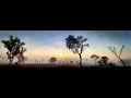 Back Paddock Ambience