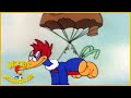 Woody Woodpecker Classic | Ace in the Hole | Woody Woodpecker Full Episode | Videos for Kids