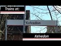 Trains at Kelvedon 01/03/2025