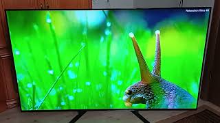 OLED телевізор 65 дюймів Соні Sony KD-65AG8 120 Гц Android 4K Ultra HD