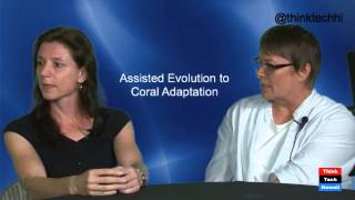 Assisted Evolution to Coral Adaptation - Ruth Gates and Madeleine van Oppen
