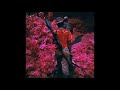 $ir carrington -bounty hunter
