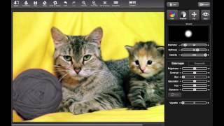Color Splash Studio - most popular app for selective coloring.mov screenshot 3