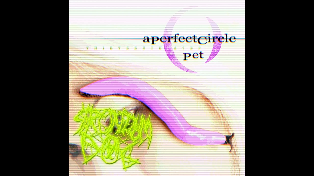 Strontium Dog - (VOCAL COVER) Pet by A Perfect Circle