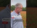 Foutje bij zaaien: geen gras maar klaprozen