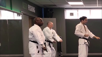 "Gedan Barai" - Downward Block - Technique of the Week #2