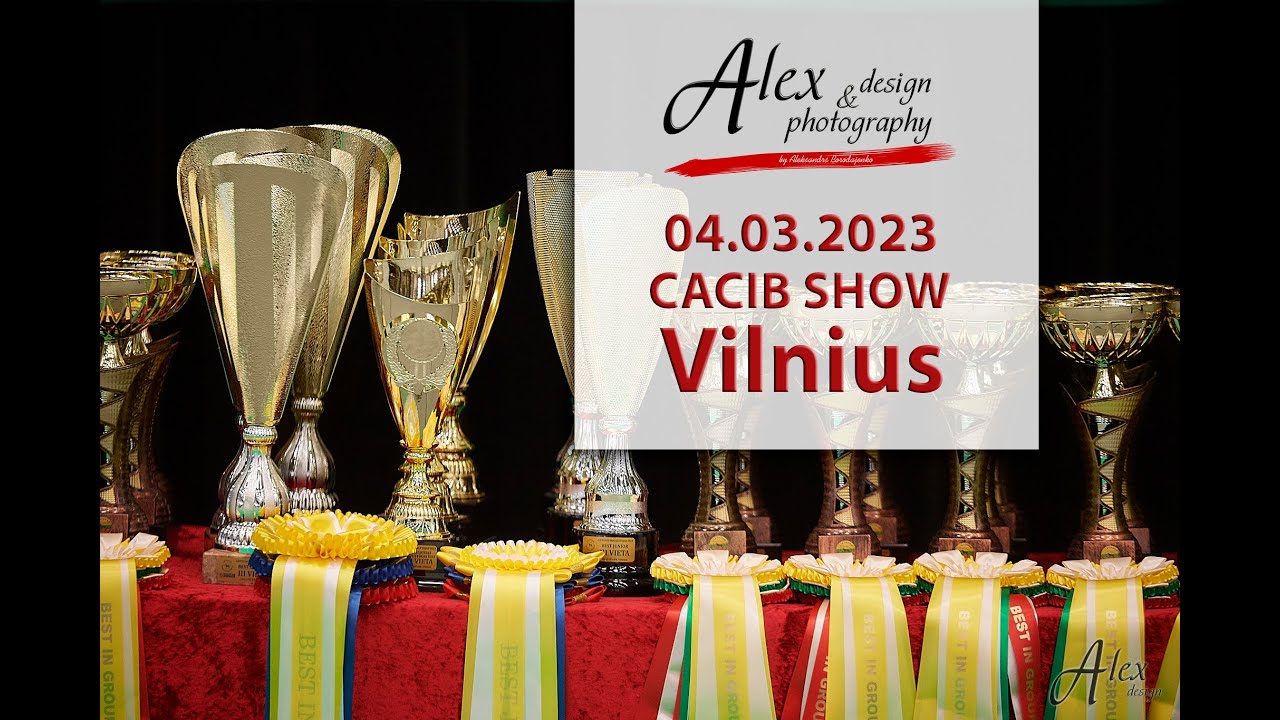  Foto zu 2023-03-04 CACIB Vilnius 2 - YouTube 