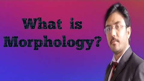 Discovering the Building Blocks of Language in Morphology | Linguistics 7 #morphology