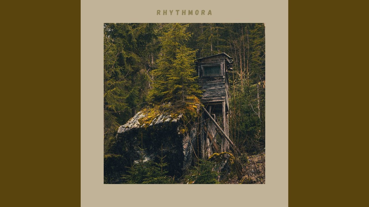 Guarda Harmonic Forest su YouTube Guarda Harmonic Forest su YouTube