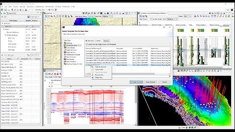 Manage saved view templates in ESS [PRO TIP]