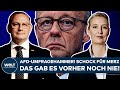 DEUTSCHLAND: AfD-Umfragehammer! Schock für Kanzler Merz! Das gab es vorher noch nie!
