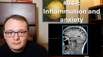 044 - Inflammation and anxiety