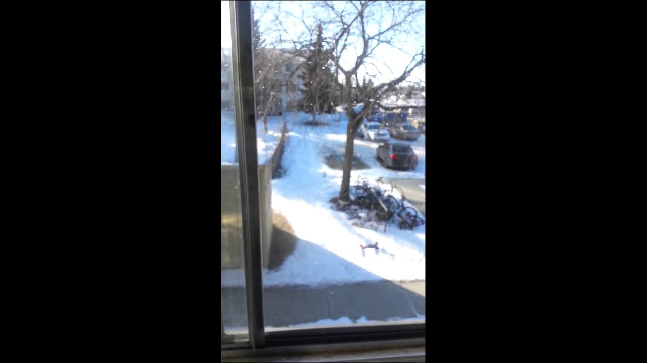 How cold is it in Edmonton, Alberta, Canada? YouTube