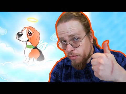 Vídeo: Você Deve Sacrificar Um Cachorro Doente?