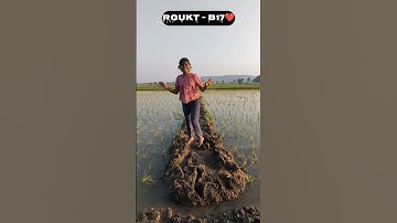 RGUKT -B17❤️ #rgukt #rguktbasar #basar#rguktiiit#rguktbasar #shorts #ytshorts #rajivgandhiuniversity