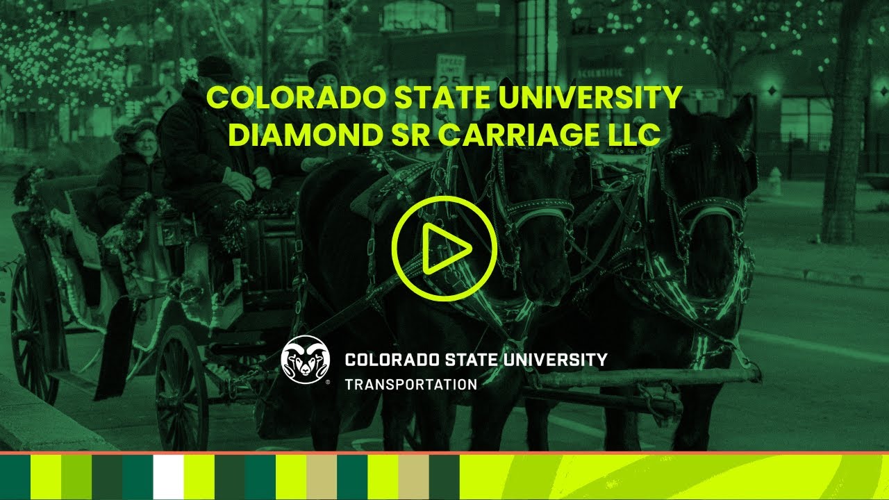 Diamond SR Carriage Horse-Drawn Carriage in Old Town Fort Collins