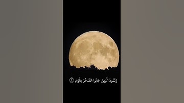 سورة الفجر الشيخ فارس عباد 🎧