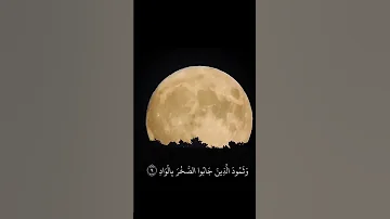 سورة الفجر الشيخ فارس عباد 