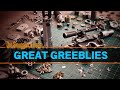Great greeblies and where to find them