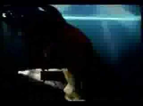 The Prodigy - Charly
