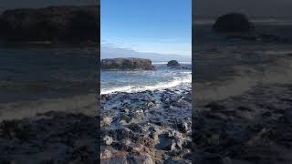 Yachats, OR 2020 part 1