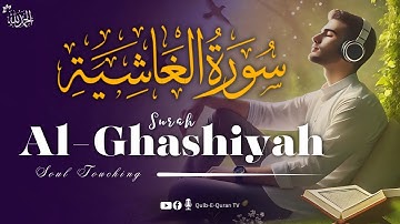 Surah Al-Ghashiyah سورة الغاشية | SOUL TOUCHING | Qulb e Quran Tv