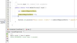 Fundamentals of Java with NetBeans : Variables