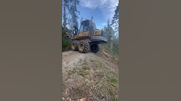 #mood #log #logging #logger #excavator #loger #forestry #operator