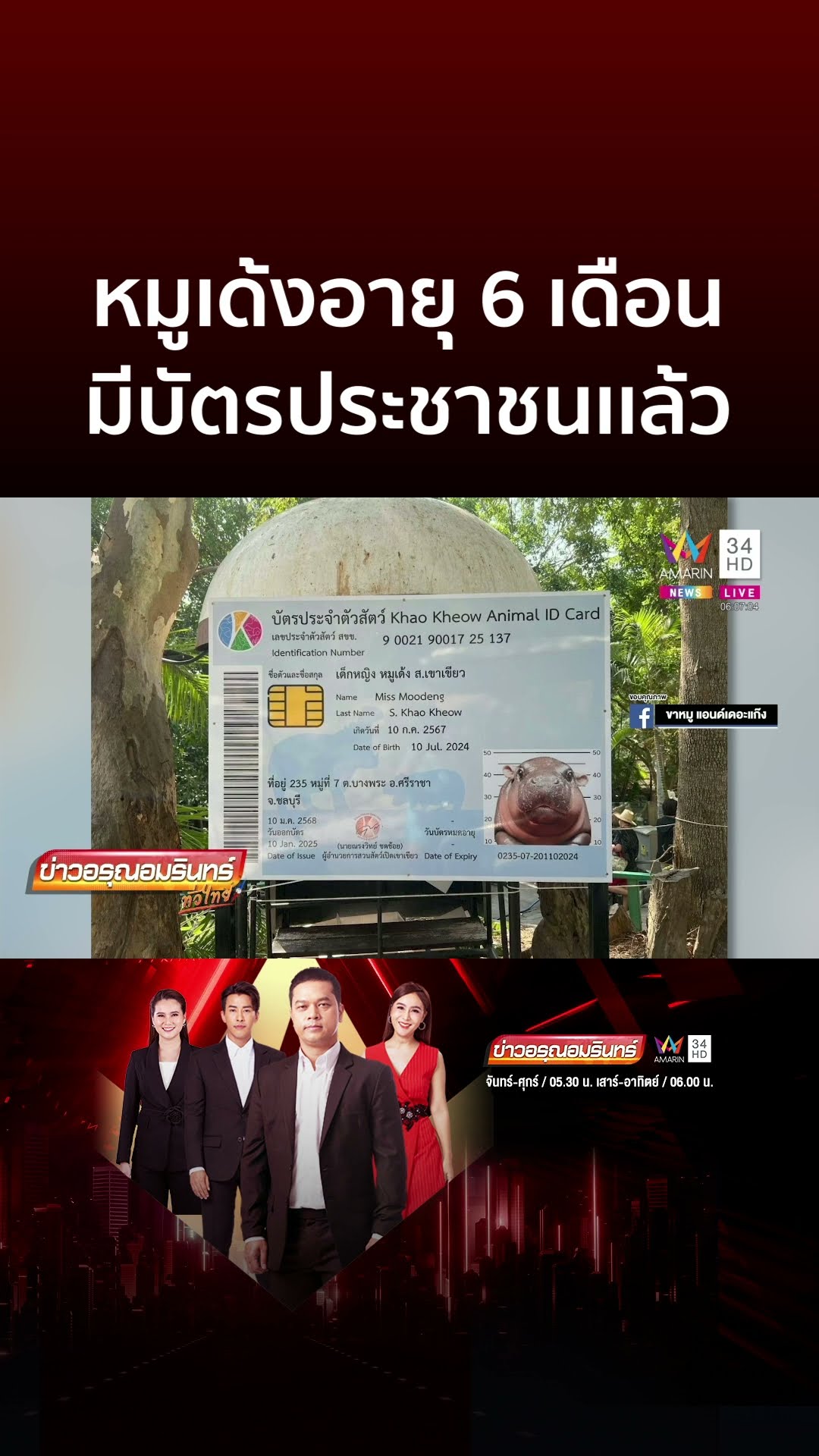 หมูเด้งอายุครบ 6 เดือน มีบัตรประชาชนเเล้ว | ข่าวอรุณอมรินทร์