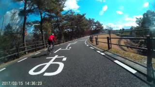 ジャイアント製サドル装着ライド（モリコロパークサイクリングコース）