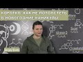 Как не потолстеть во время новогодних праздников? Как не поправиться на новый год?